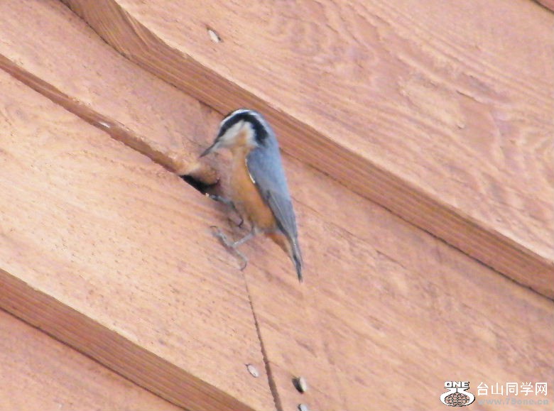 DSCF2899.JPG