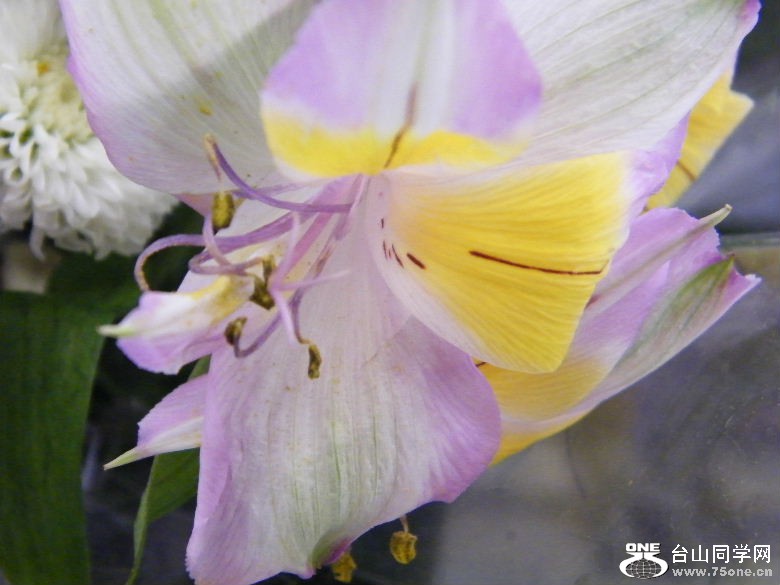 DSCF2358.JPG