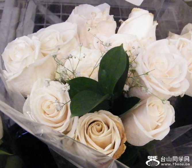 DSCF2364.JPG