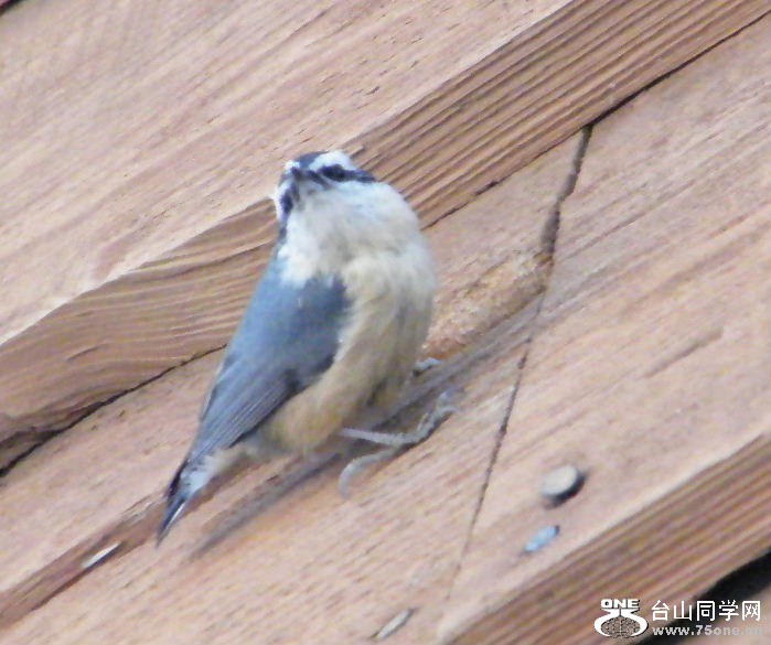 DSCF2932.JPG