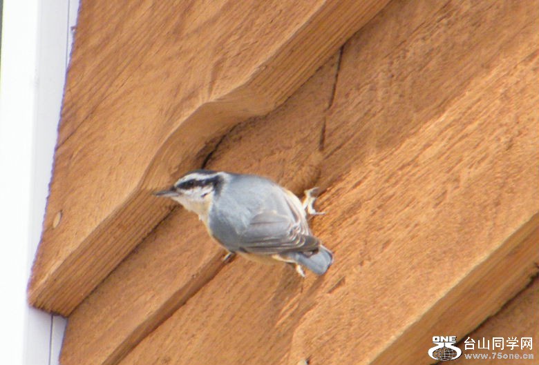 DSCF2884.JPG