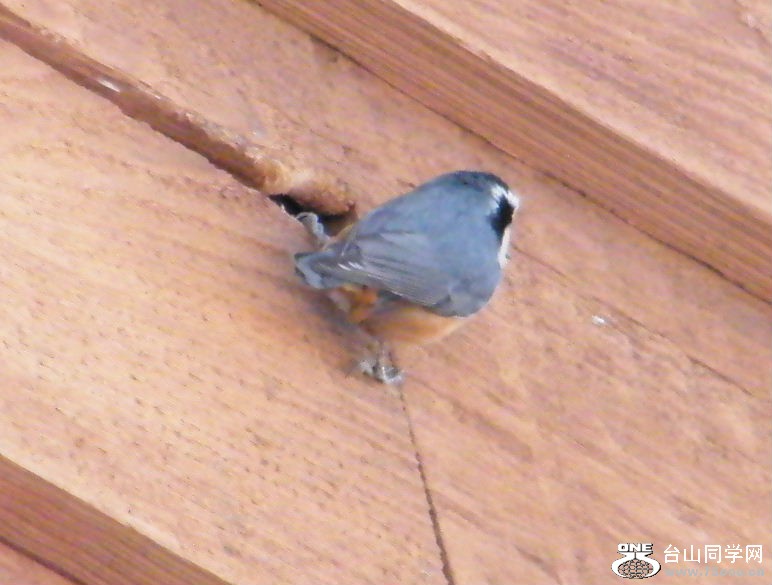 DSCF2909.JPG