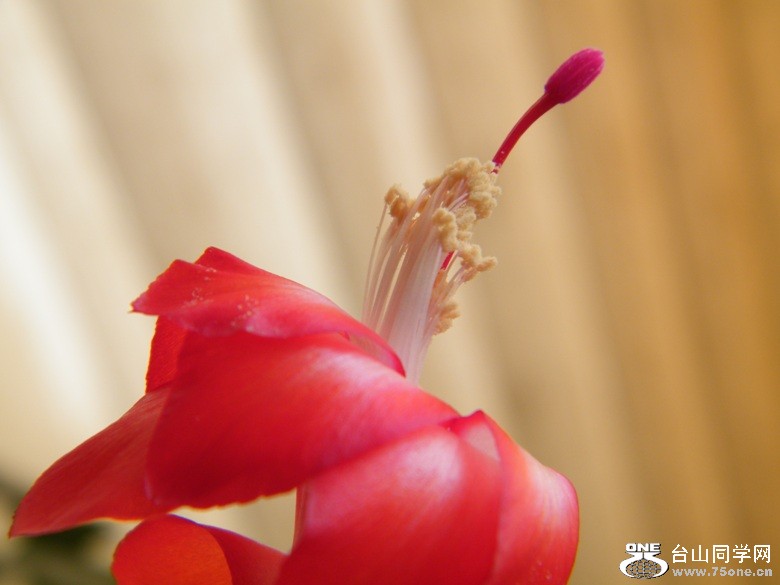 DSCF3070.JPG