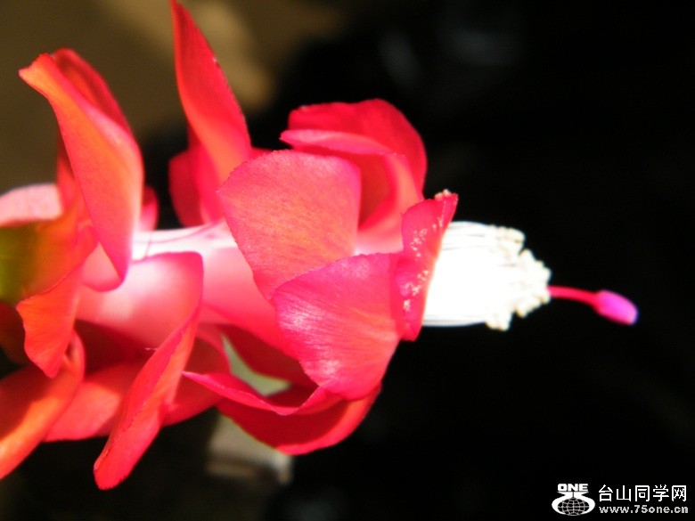 DSCF3063.JPG