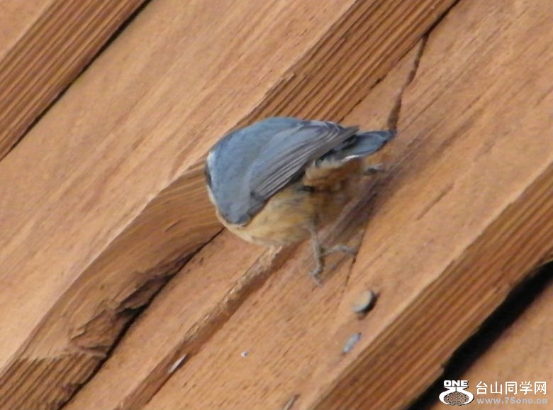 DSCF2927.JPG