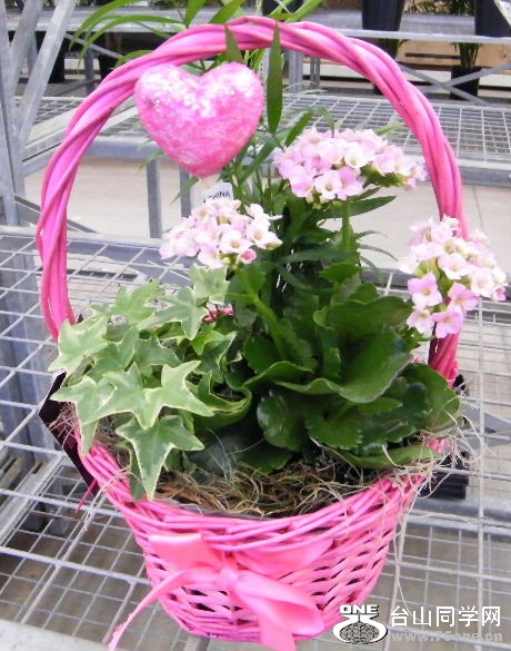 DSCF2368.JPG