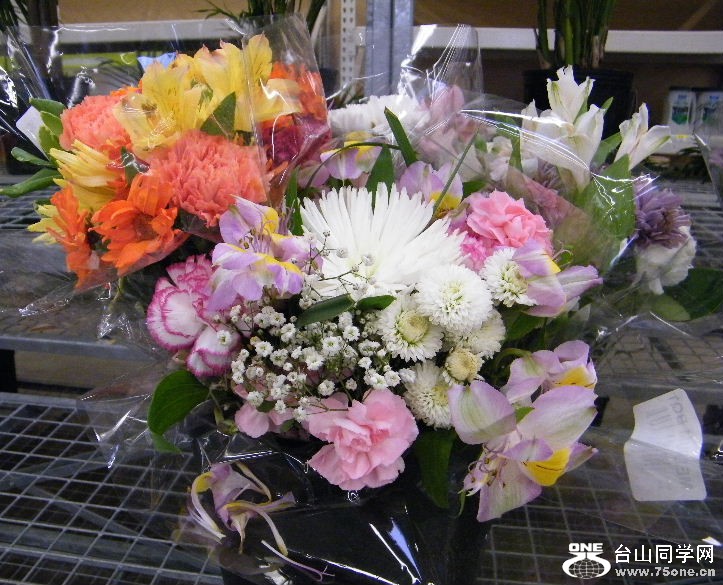 DSCF2355.JPG