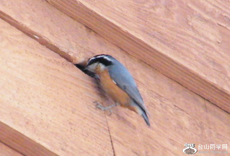 DSCF2901.JPG