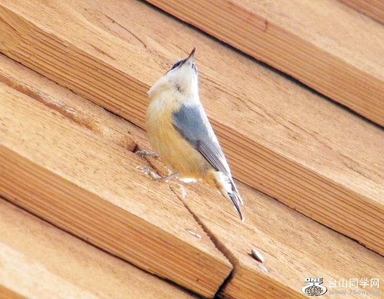 DSCF2873.JPG