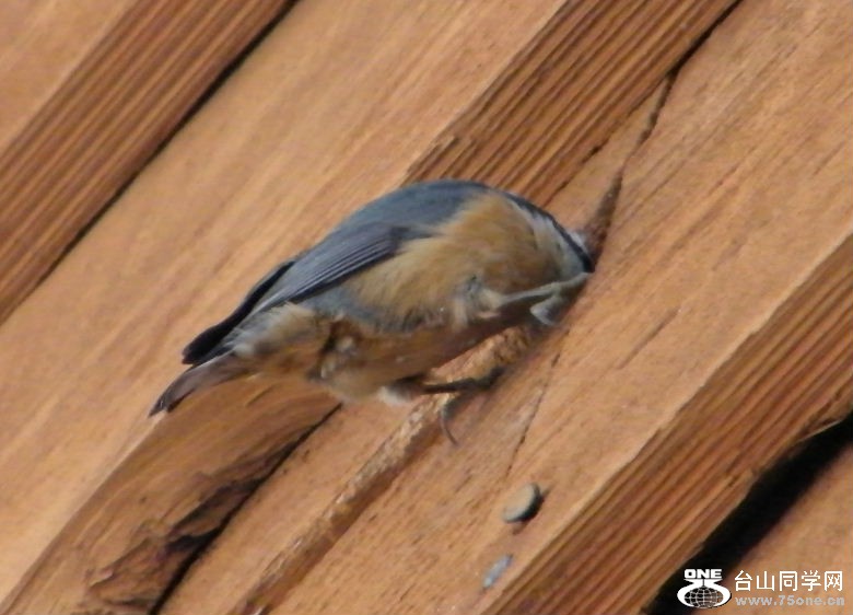DSCF2921.JPG