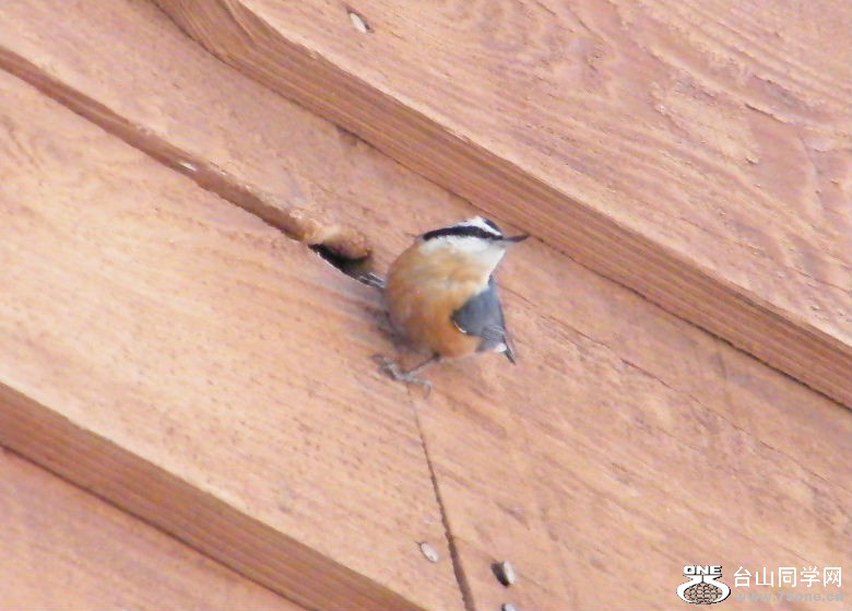 DSCF2911.JPG