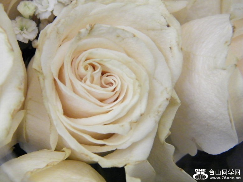 DSCF2365.JPG