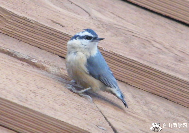 DSCF2935.JPG
