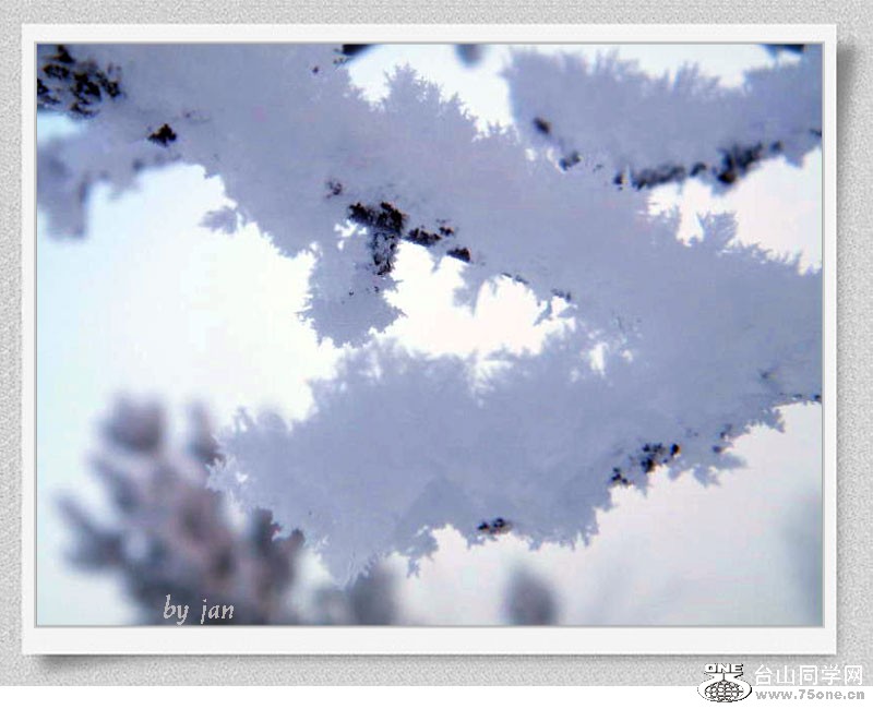 DSCF2092=0.jpg
