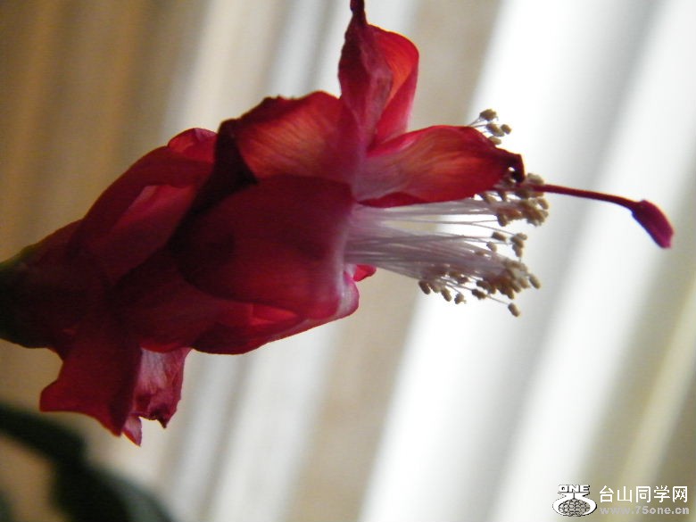 DSCF0010.JPG
