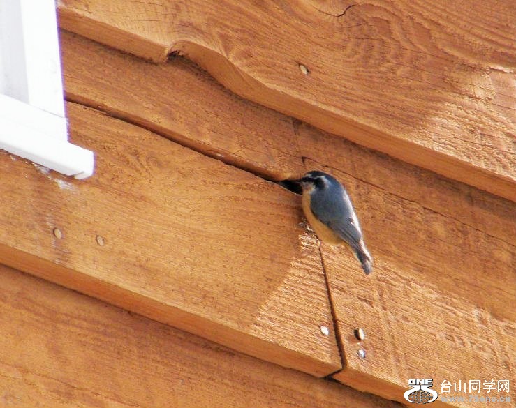 DSCF2871.JPG