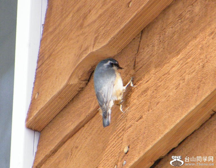 DSCF2885.JPG