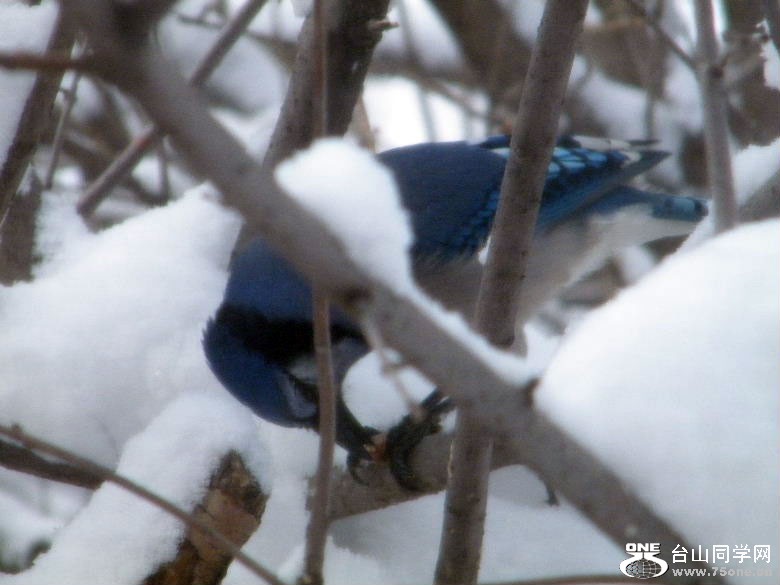 DSCF2708.JPG