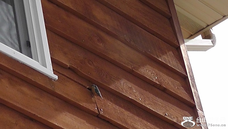 H1160009.jpg