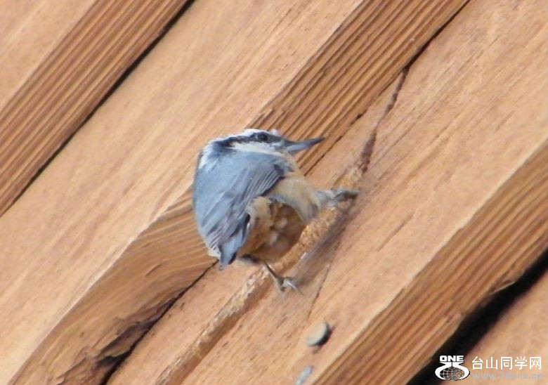 DSCF2920.JPG