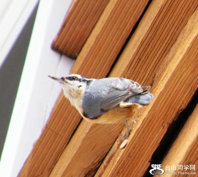 DSCF2880.jpg