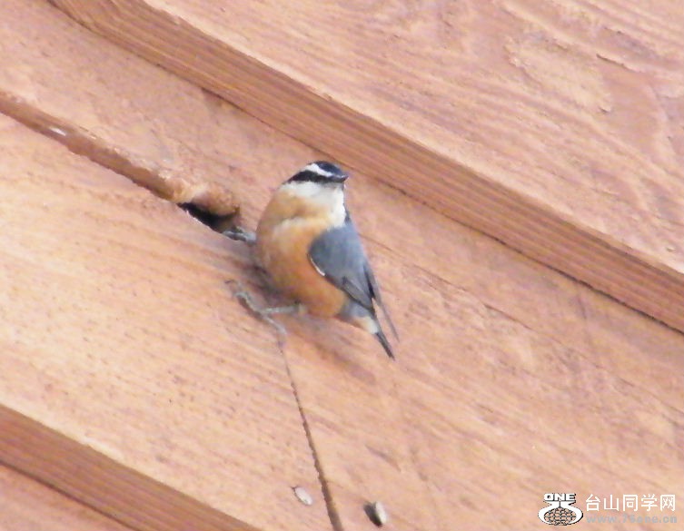 DSCF2914.JPG