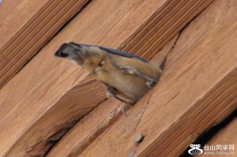 DSCF2922.JPG