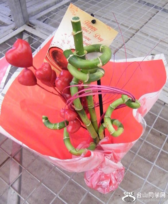 DSCF2350.JPG
