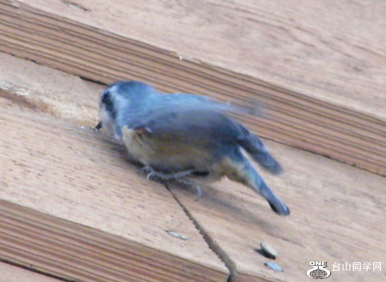 DSCF2934.JPG