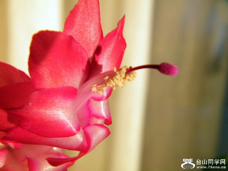 DSCF1949=.jpg