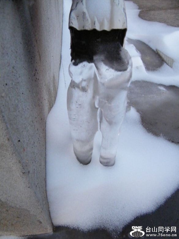 DSCF2454.JPG