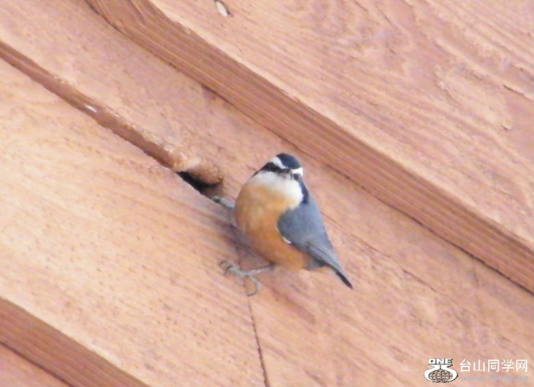 DSCF2906.JPG
