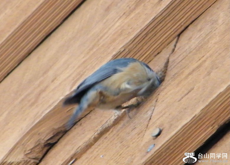 DSCF2929.JPG