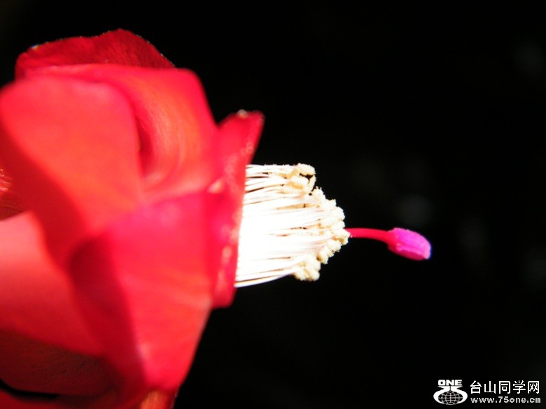 DSCF3066.JPG