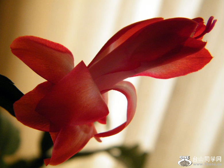 DSCF2039=.jpg