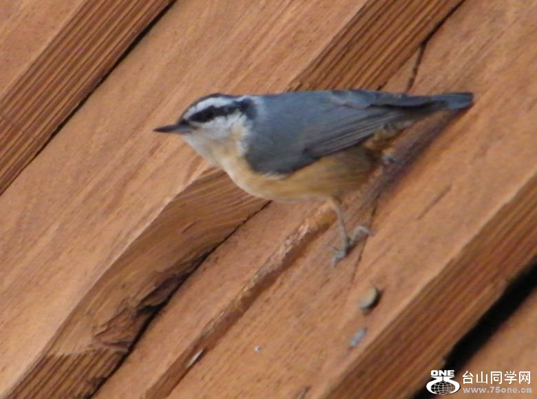 DSCF2926.JPG