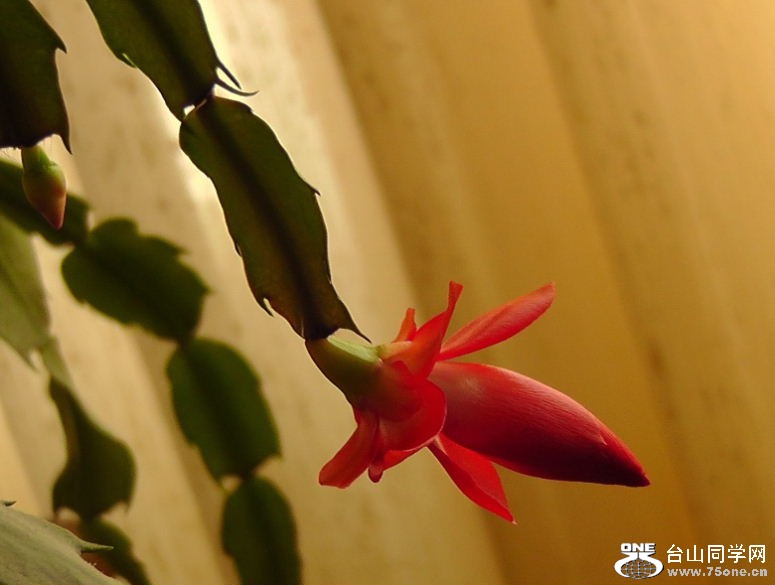 2012_032010012.jpg