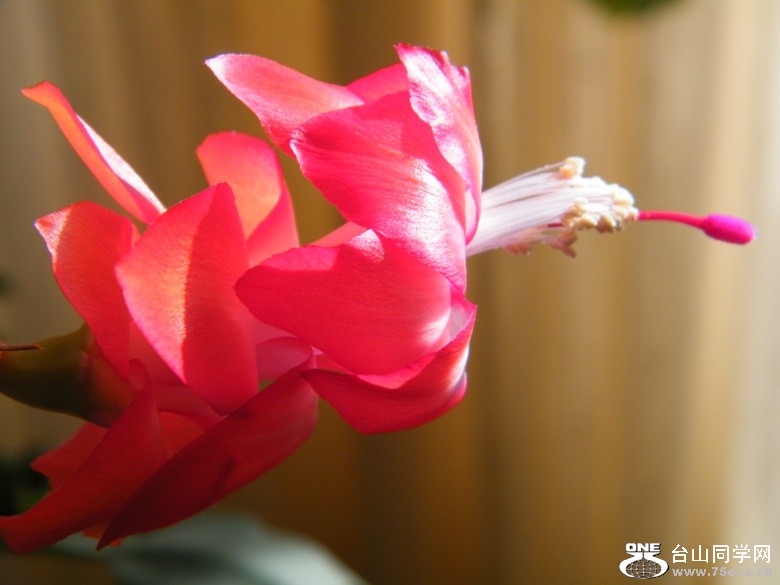 DSCF3068.JPG