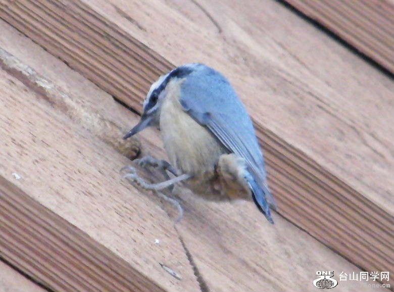 DSCF2916.JPG