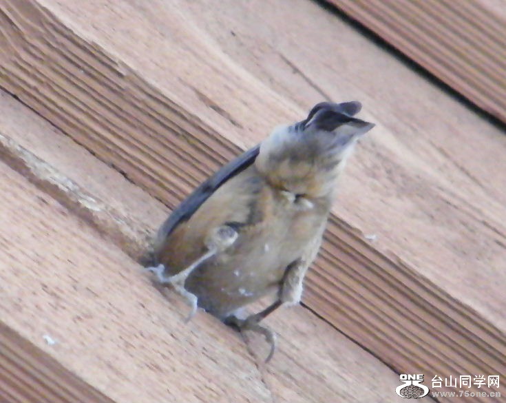 DSCF2917.JPG
