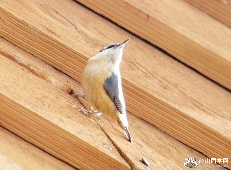 DSCF2877.JPG