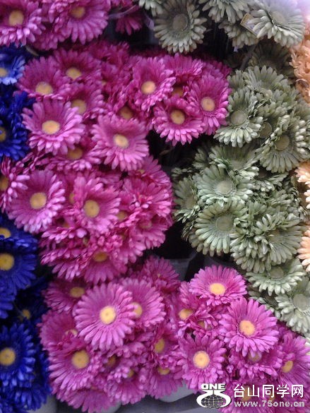 2012-01-27 16.28.56.jpg