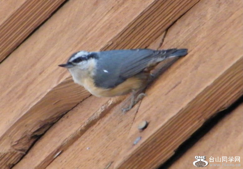 DSCF2928.JPG
