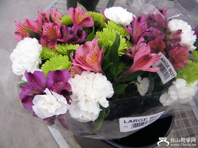 DSCF2361.JPG