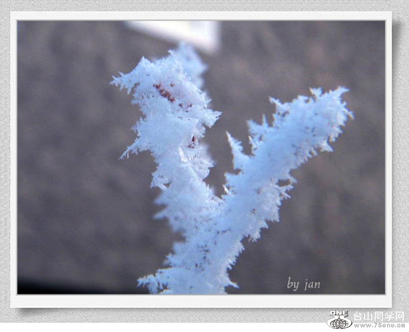 DSCF2119=.jpg