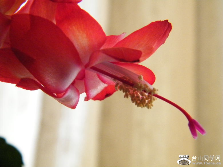 DSCF2396.JPG
