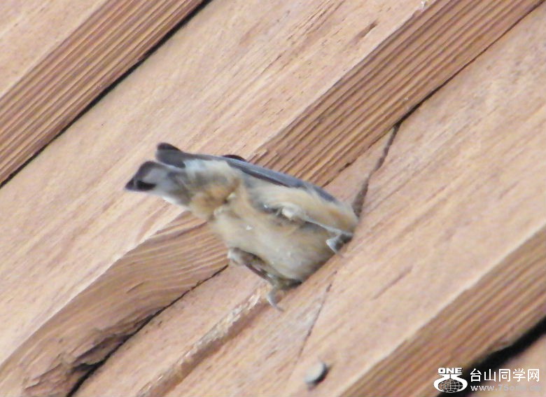 DSCF2923.JPG