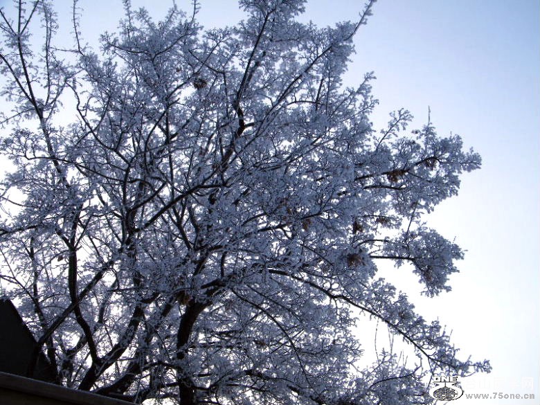 DSCF2105=.jpg