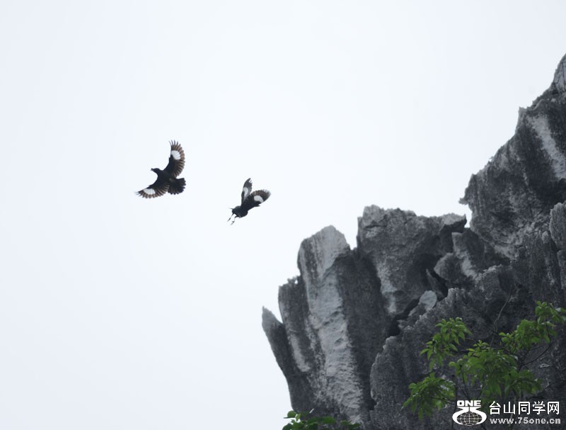 Ƽ 081.jpg
