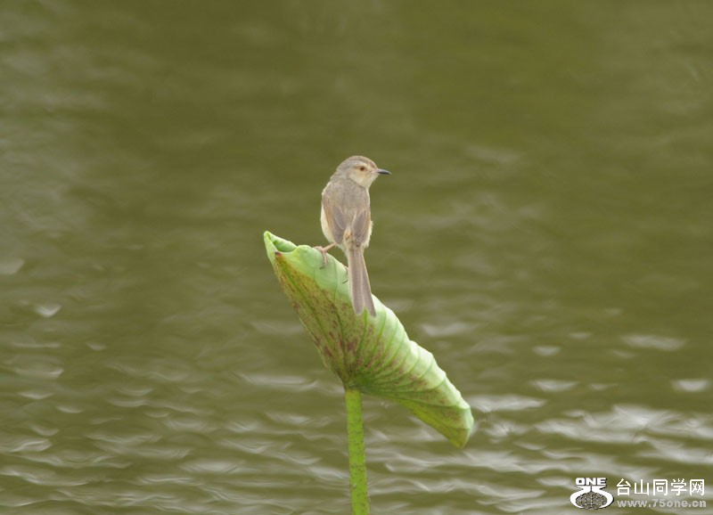 DSC_2498.JPG
